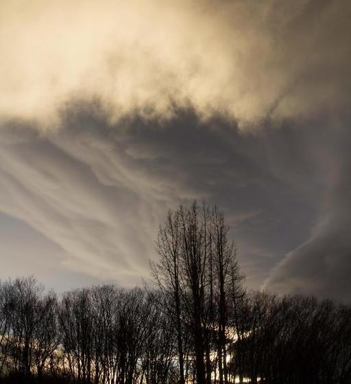 اتاق عادی یک تخته, Mjóanes Accommodation