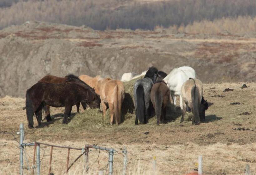 اتاق ساده سه نفره, Mjóanes Accommodation