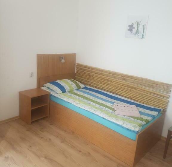 单人经济间, Pension Haus Baron 1 Neckarau