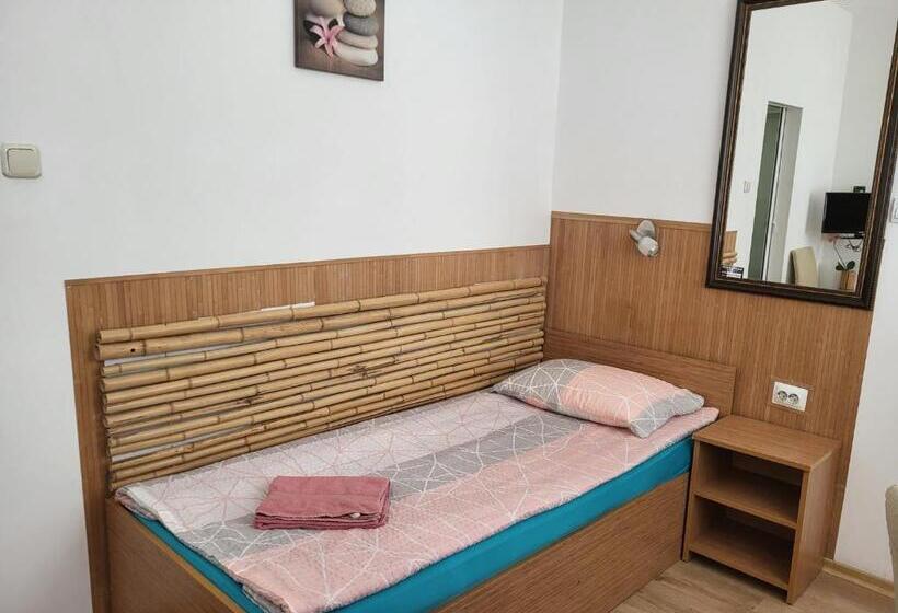 エコノミールーム, Pension Haus Baron 1 Neckarau