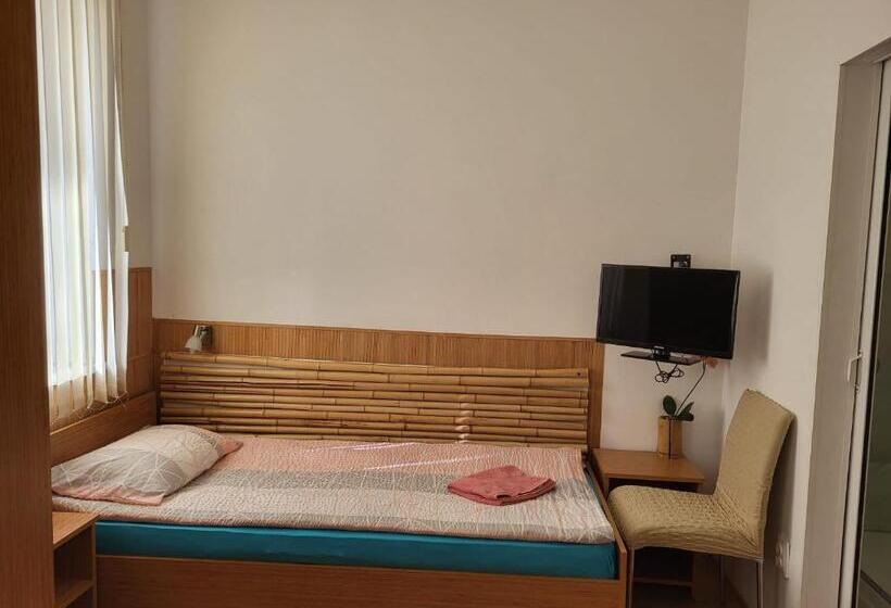 经济房, Pension Haus Baron 1 Neckarau