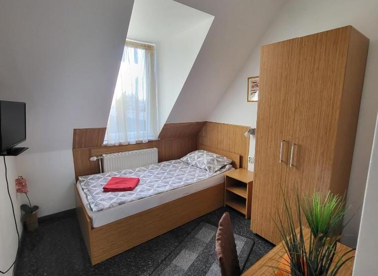 エコノミーシングルルーム, Pension Haus Baron 1 Neckarau