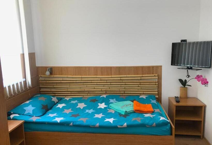 エコノミーシングルルーム, Pension Haus Baron 1 Neckarau