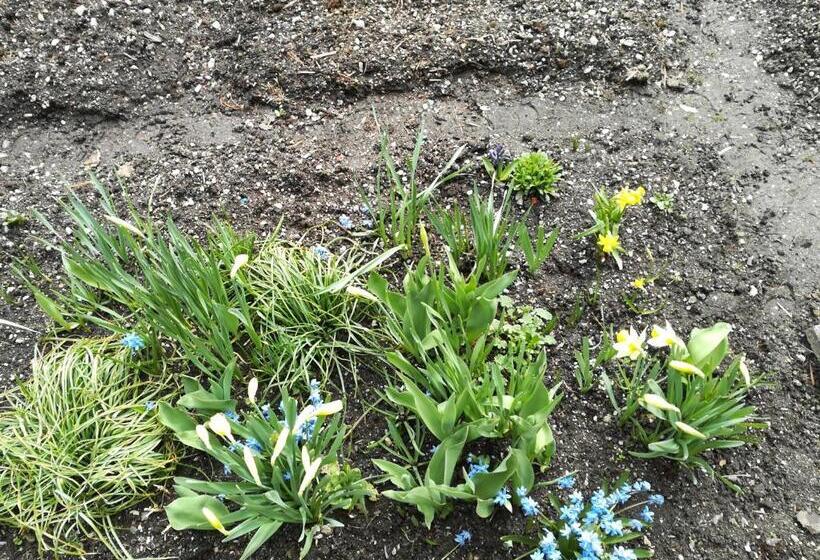 Апартаменты 1 Спальня с Видом, Bigraberhof