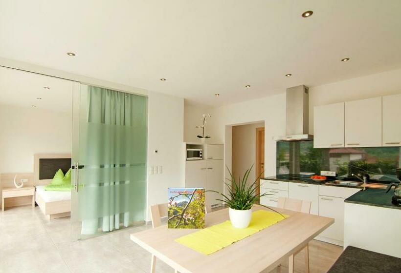 דירת חדר עם טרסה, Weinreichhof