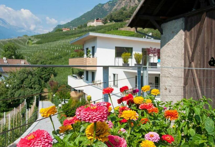 דירת חדר עם טרסה, Weinreichhof