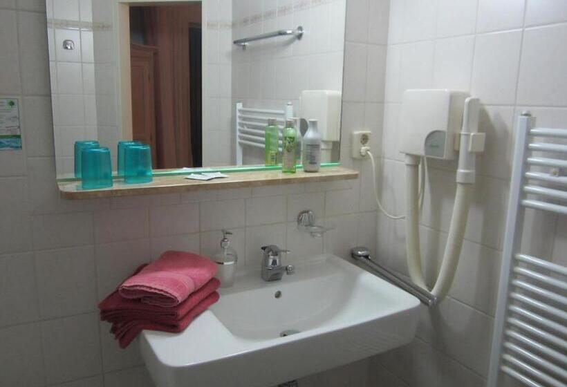 标准单人间, Ryck Hotel Garni