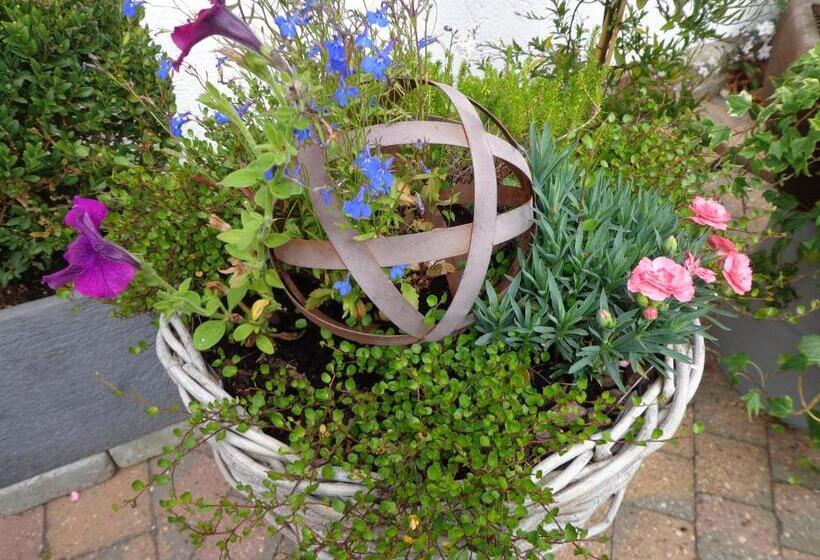 Семейный Номер, Le Chant Du Merle