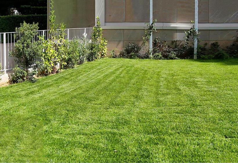 اتاق استاندارد, C.a.v. B&b Curiel20