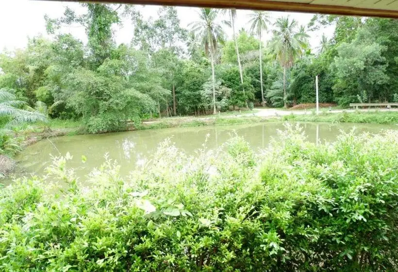 اتاق استاندارد, Jarawee Resort