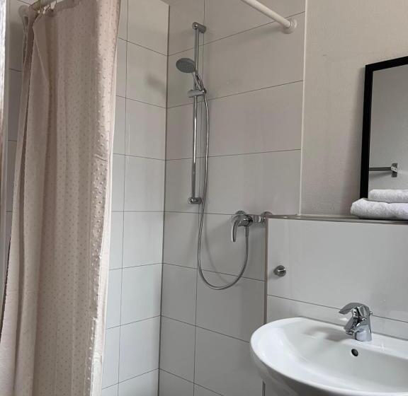 غرفة قياسية فردية, Pension Krone Sternenfels