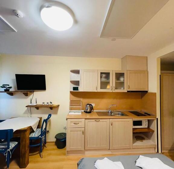 إستوديو قياسى, Studio Kris Villa Park