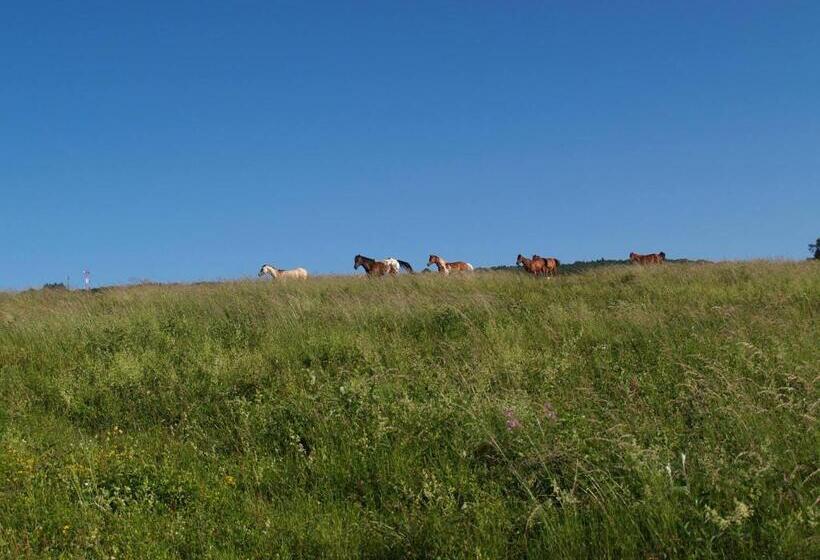 חדר סטנדרט נוף לגינה, Redspring Chambres D Hôtes