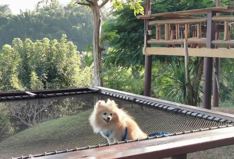シャレー1寝室, Baanrai Khunya บ้านไร่คุณย่า