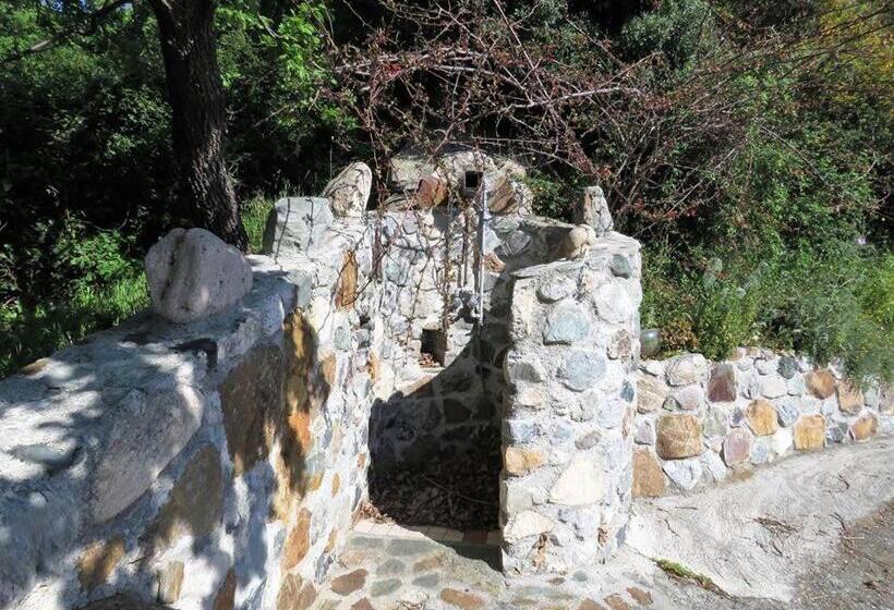 Апартаменты 1 Спальня Нижний Этаж, B&b Le Rose Del Tirreno