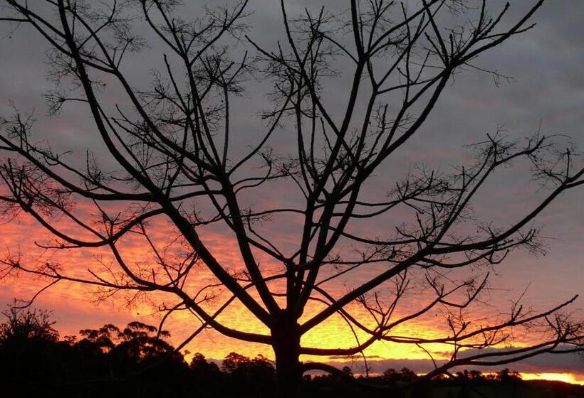 豪华园景房, Cedarview Bed & Breakfast