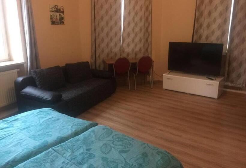 اتاق استاندارد با سرویس بهداشتی مشترک, Jujhar S Gästehaus