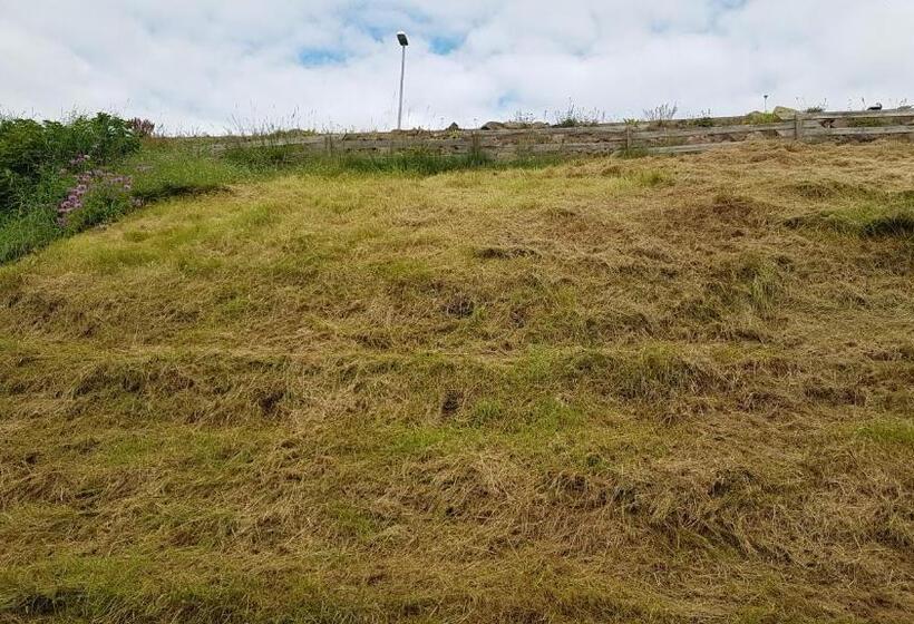 اتاق استاندارد با چشم‌انداز باغ, Kriukot