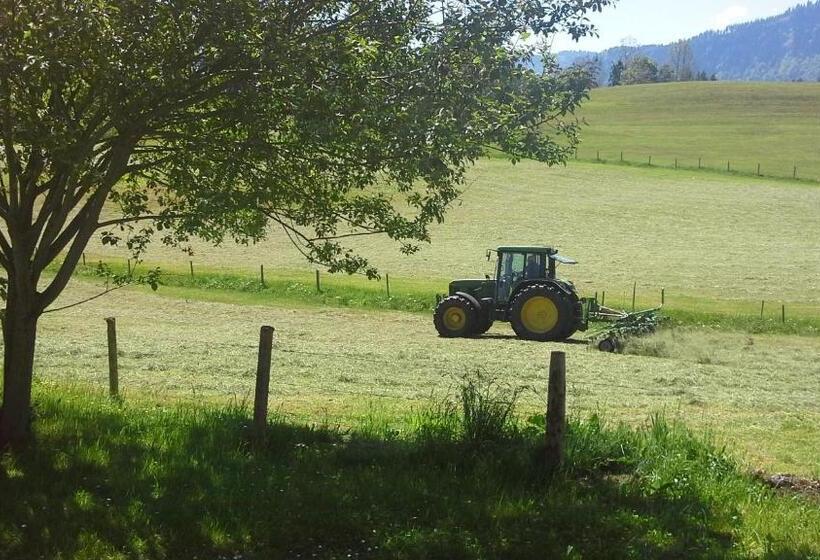 Номер Стандарт, Haus Bergpanorama