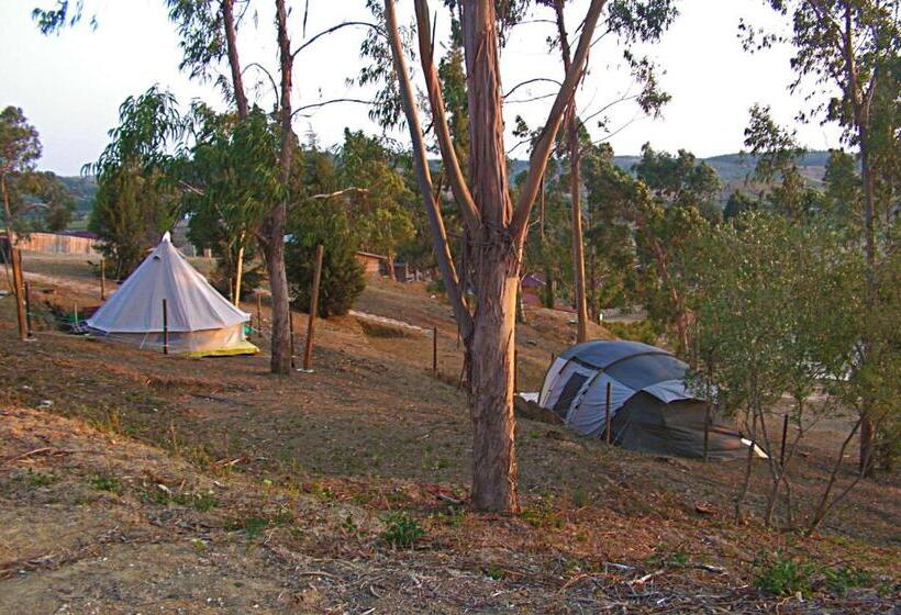 Standard Tent, Herdade Da Hera