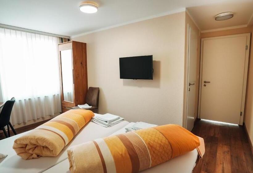 غرفة قياسية, Gasthaus Drei Eidgenossen