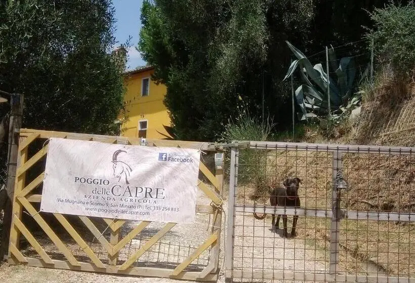 スタンダードルーム, Poggio Delle Capre