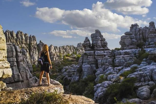 テラス付き１ベッドルームアパートメント, Apartamento Minerva Jupiter. The Perfect Accommodation For Your Vacation