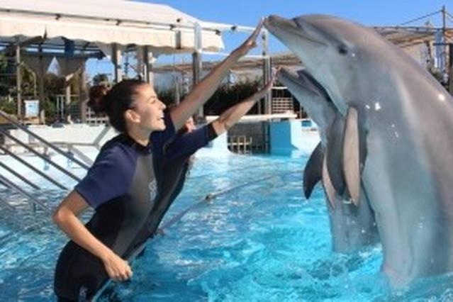 テラス付き１ベッドルームアパートメント, Apartamento Minerva Jupiter. The Perfect Accommodation For Your Vacation