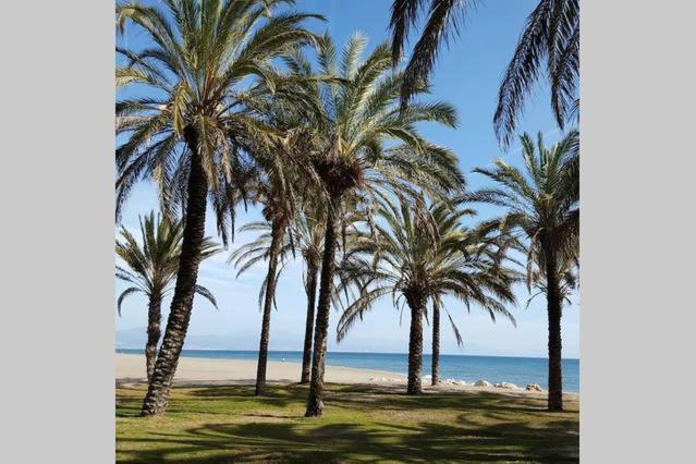 テラス付き１ベッドルームアパートメント, Apartamento Minerva Jupiter. The Perfect Accommodation For Your Vacation