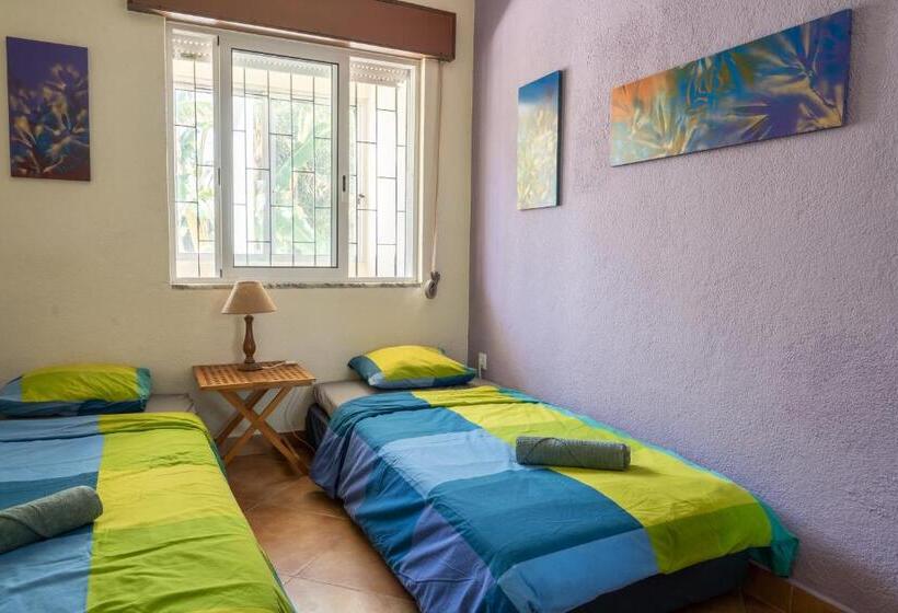 스탠다드 룸, Natural Mystic Hostel