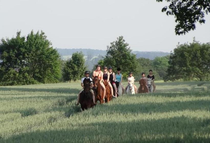 Номер Стандарт Вид на Сад, Landhof Zur Meierei