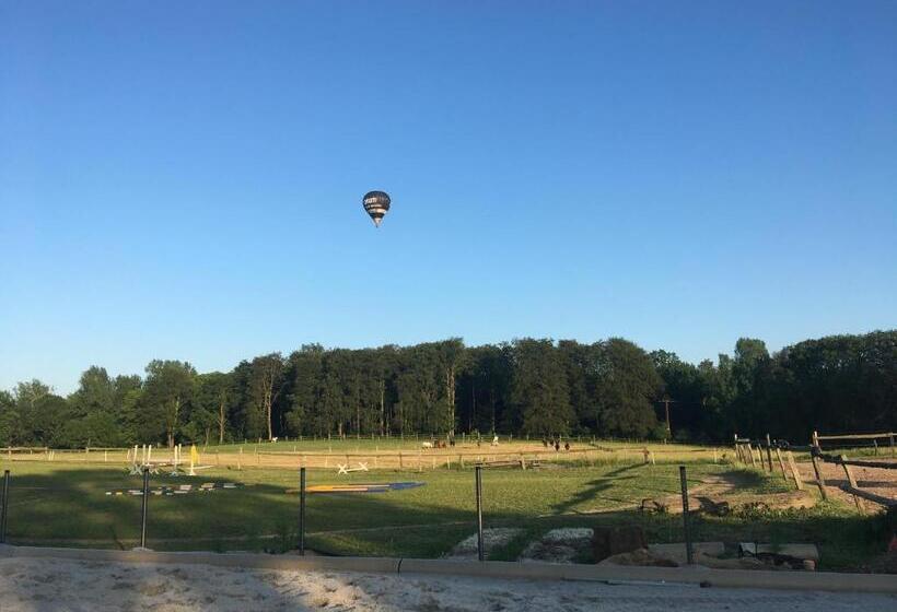 Семейный Номер, Landhof Zur Meierei