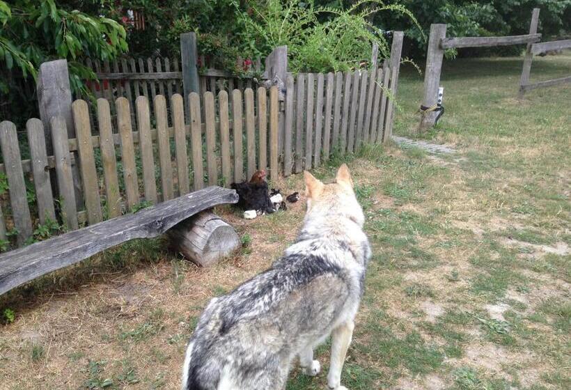 Семейный Номер, Landhof Zur Meierei