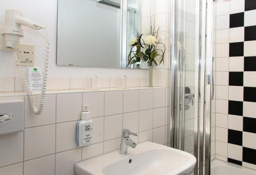 スタンダードシングルルーム, Arthotel Ana Flair