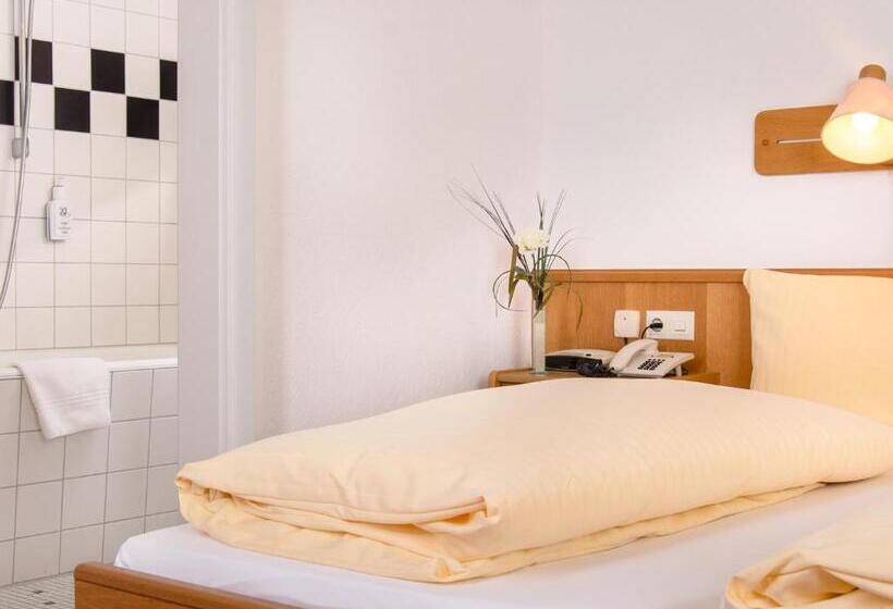 スタンダードルーム, Arthotel Ana Flair