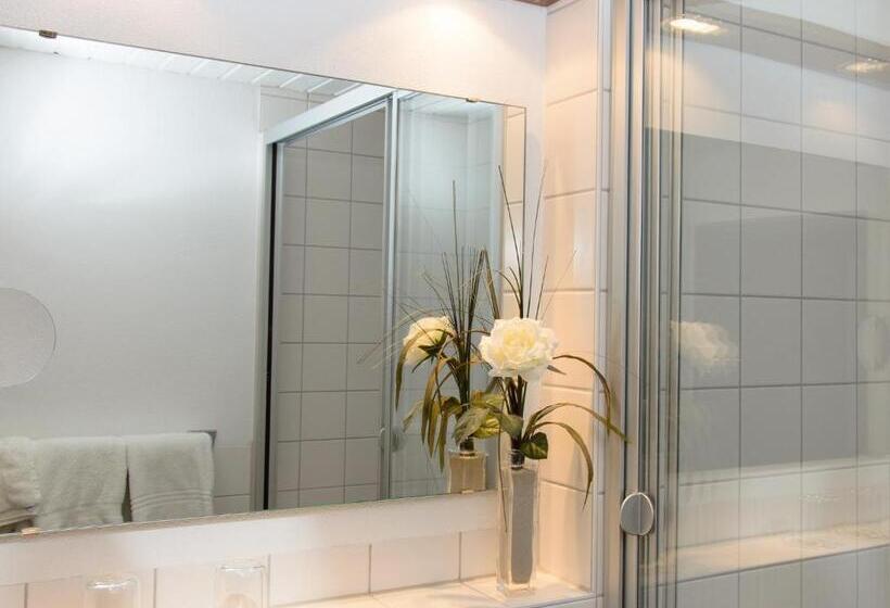 スタンダードルーム, Arthotel Ana Flair