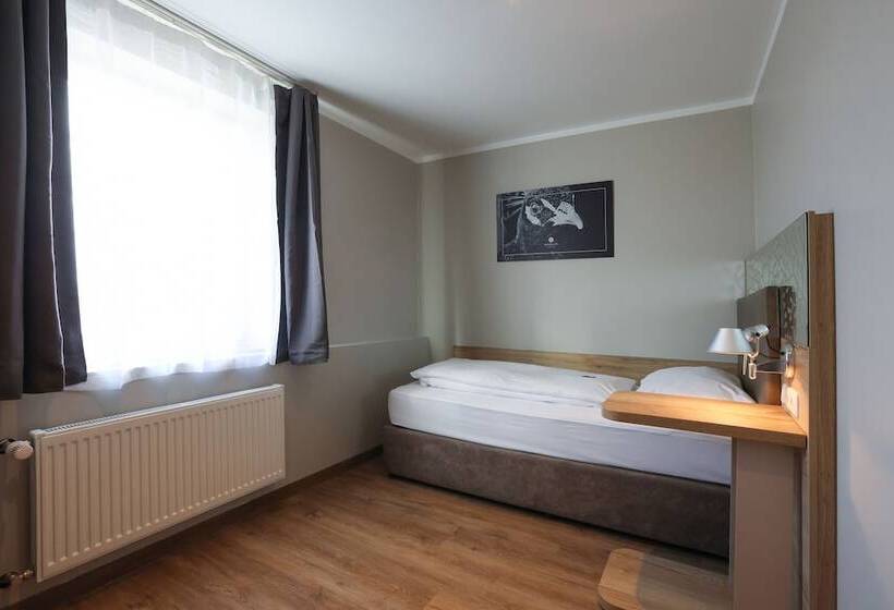 スタンダードシングルルーム, Arthotel Ana Flair