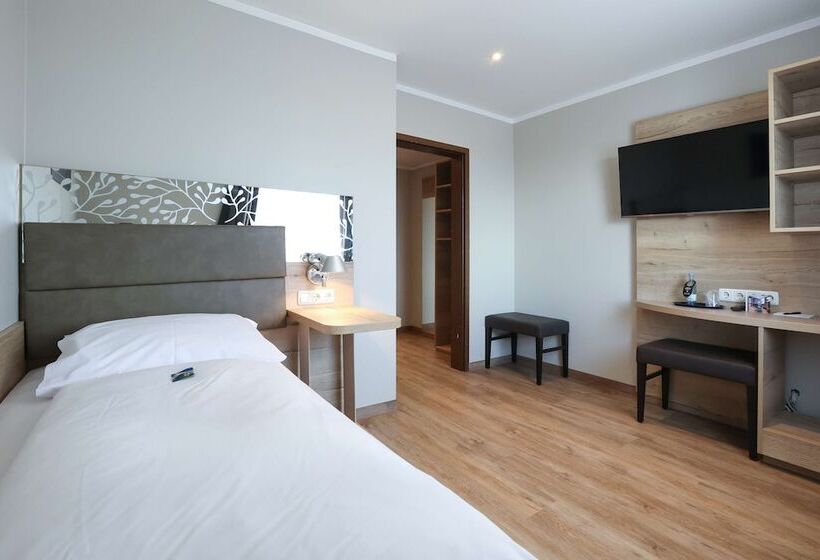 Номер Стандарт Индивидуальный, Arthotel Ana Flair