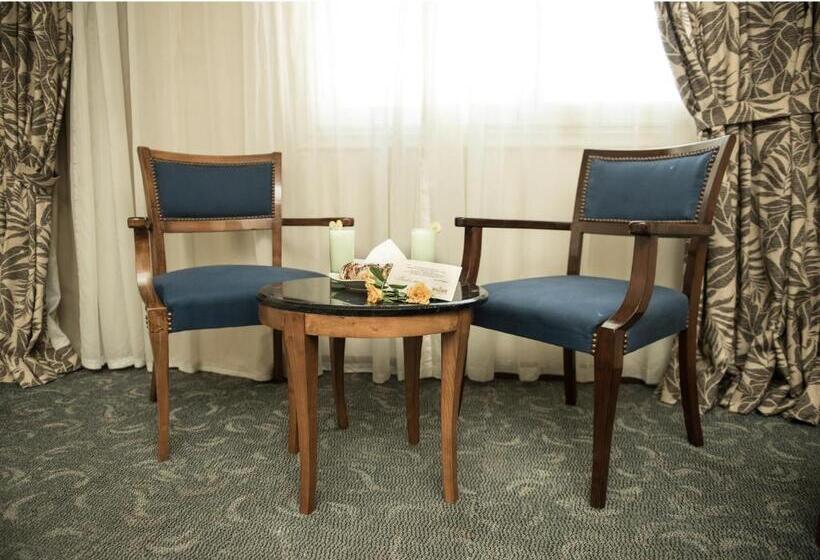 اتاق لوکس با چشمانداز شهر, Cherry Maryski