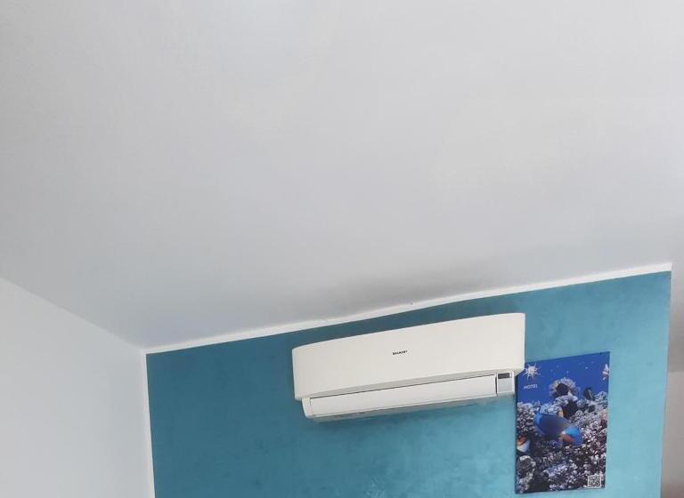 Standard Room, Octopus