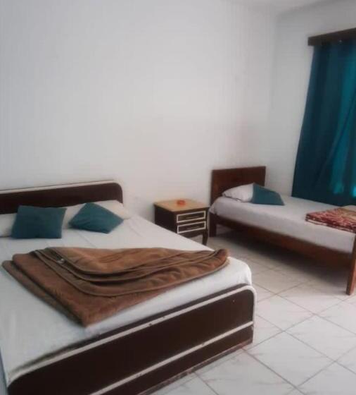 Standard Room, Octopus