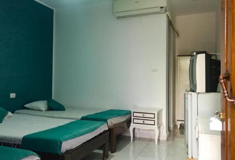 Standard Triple Room, Octopus