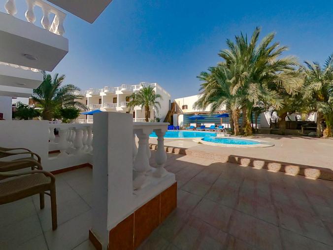 Standard Single Room, Octopus