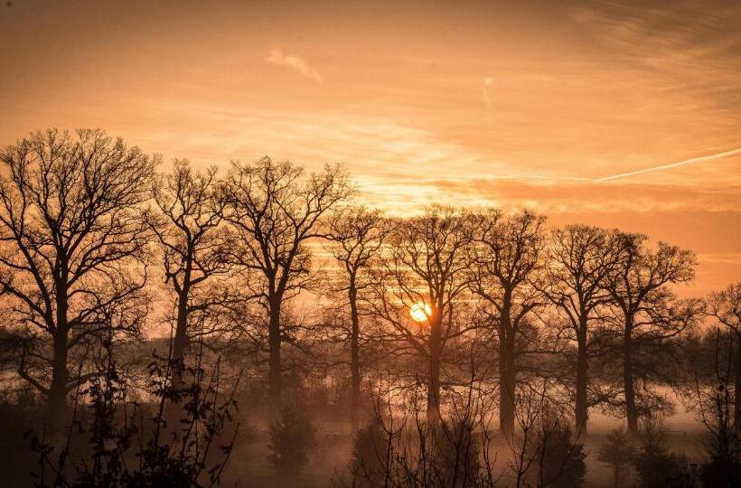 标准工作室带阳台, Art+bed And Breakfast