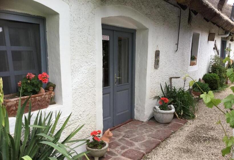 スタンダードスタジオ, Három Huszár Köveskal