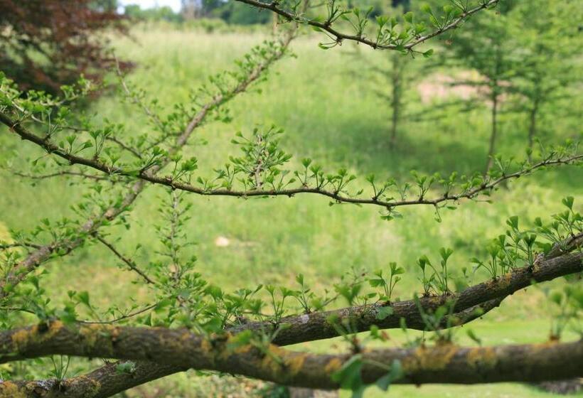 جناح, Château De Bonne Espérance
