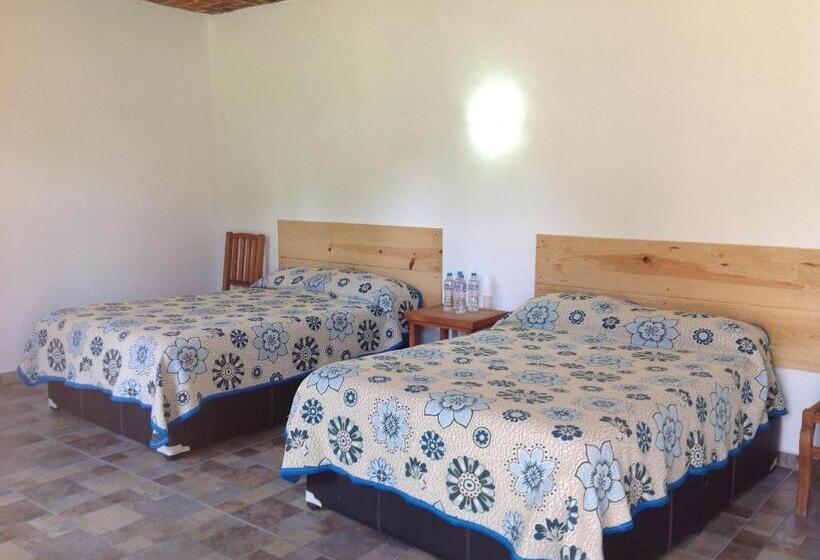 标准间, Finca Las Bovedas