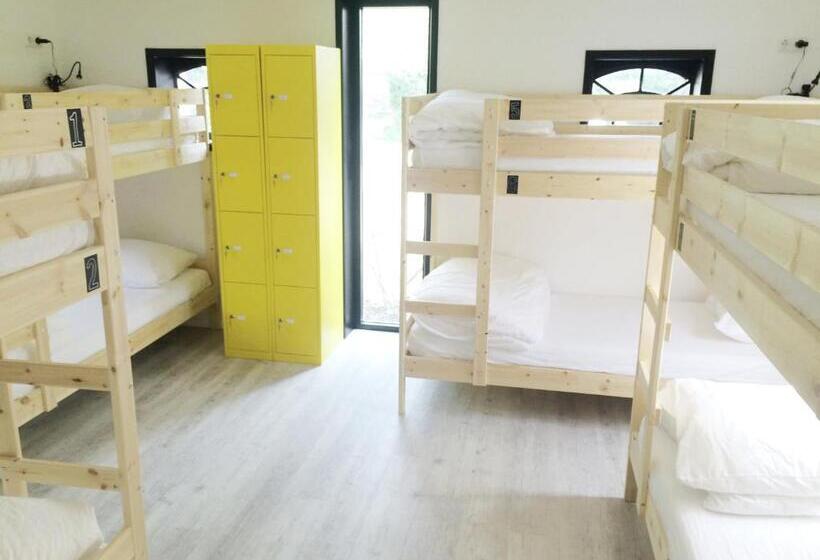 ルームシェアのワンベッド, The Black Sheep Hostel