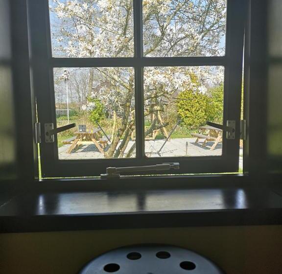 エコノミー4人部屋, The Black Sheep Hostel