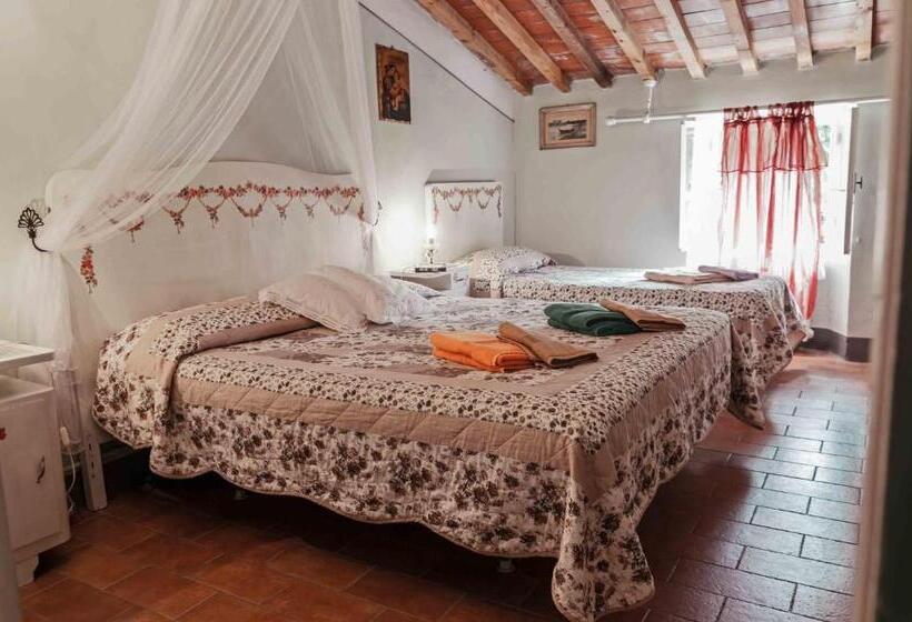 Апартаменты 3 Спальни, Agriturismo Corboli